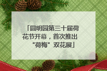 圆明园第三十届荷花节开幕，首次推出“荷梅”双花展