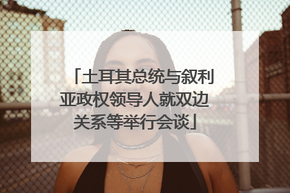 土耳其总统与叙利亚政权领导人就双边关系等举行会谈