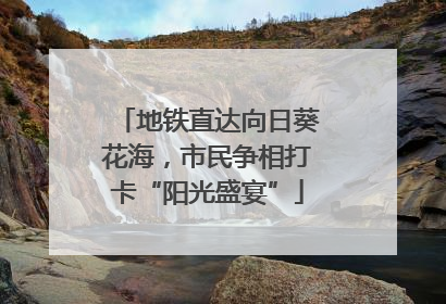 地铁直达向日葵花海，市民争相打卡“阳光盛宴”