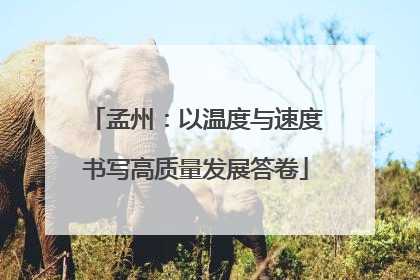 孟州：以温度与速度书写高质量发展答卷