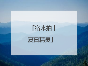 宿来拍丨夏日精灵
