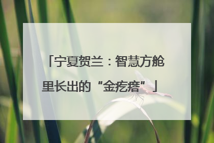 宁夏贺兰：智慧方舱里长出的“金疙瘩”