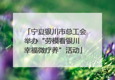 宁夏银川市总工会举办“劳模看银川 幸福微疗养”活动