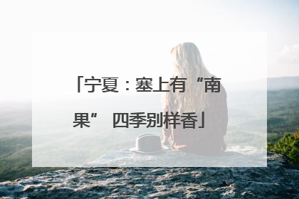 宁夏：塞上有“南果” 四季别样香