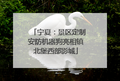 宁夏：景区定制安防机器狗亮相镇北堡西部影城