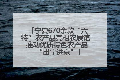 宁夏670余款“六特”农产品亮相农展馆 推动优质特色农产品“出宁进京”