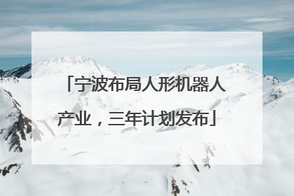 宁波布局人形机器人产业，三年计划发布
