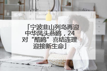 宁波韭山列岛再迎中华凤头燕鸥，24对“酷鸥”喜结连理迎接新生命
