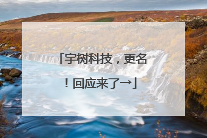 宇树科技，更名！回应来了→