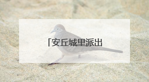 安丘城里派出所：“云端枫桥”绘平安图景