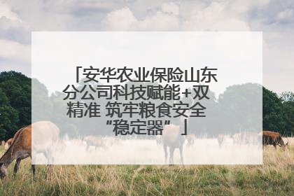 安华农业保险山东分公司科技赋能+双精准 筑牢粮食安全“稳定器”