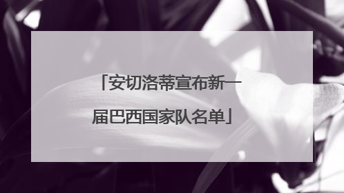 安切洛蒂宣布新一届巴西国家队名单