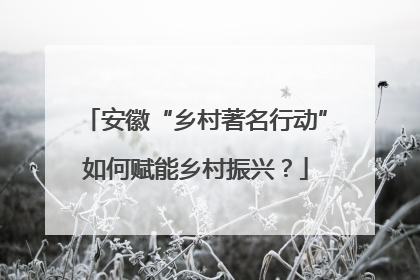 安徽“乡村著名行动”如何赋能乡村振兴？