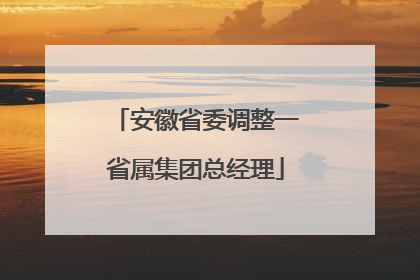 安徽省委调整一省属集团总经理