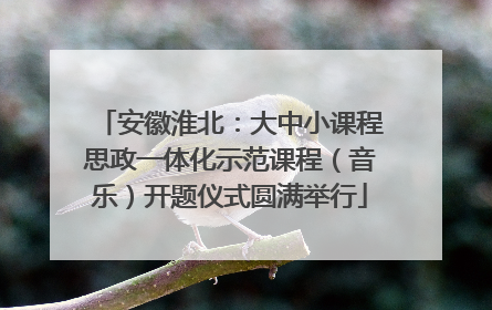 安徽淮北：大中小课程思政一体化示范课程（音乐）开题仪式圆满举行