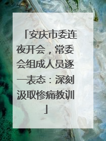 安庆市委连夜开会，常委会组成人员逐一表态：深刻汲取惨痛教训