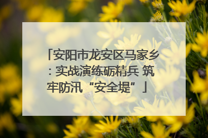 安阳市龙安区马家乡：实战演练砺精兵 筑牢防汛“安全堤”