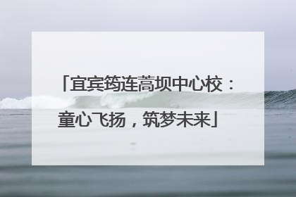 宜宾筠连蒿坝中心校：童心飞扬，筑梦未来