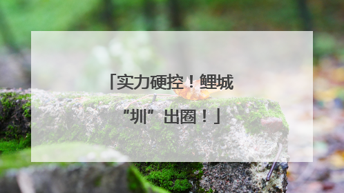 实力硬控！鲤城“圳”出圈！