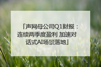 声网母公司Q1财报：连续两季度盈利 加速对话式AI场景落地
