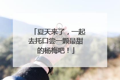 夏天来了，一起去托口尝一颗最甜的杨梅吧！