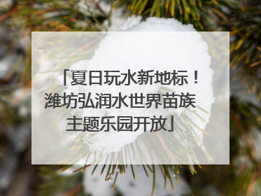 夏日玩水新地标！潍坊弘润水世界苗族主题乐园开放