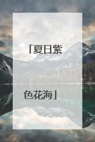 夏日紫色花海