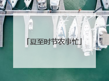 夏至时节农事忙