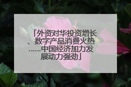 外资对华投资增长、数字产品消费火热……中国经济加力发展动力强劲