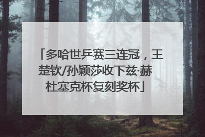 多哈世乒赛三连冠，王楚钦/孙颖莎收下兹·赫杜塞克杯复刻奖杯