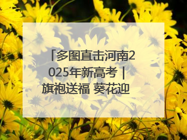 多图直击河南2025年新高考｜旗袍送福 葵花迎胜——许昌高考首日拉开帷幕