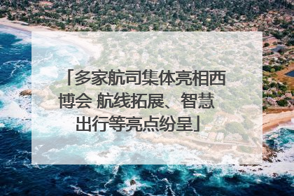 多家航司集体亮相西博会 航线拓展、智慧出行等亮点纷呈
