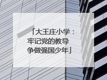 大王庄小学：牢记党的教导 争做强国少年