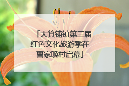 大箕铺镇第三届红色文化旅游季在曹家晚村启幕