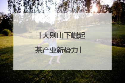 大别山下崛起茶产业新势力