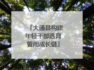 大通县构建年轻干部选育管用成长链