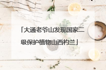 大通老爷山发现国家二级保护植物山西杓兰