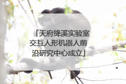 天府绛溪实验室交互人形机器人前沿研究中心成立