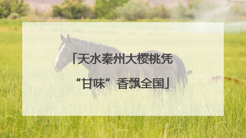 天水秦州大樱桃凭“甘味”香飘全国