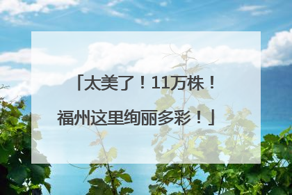 太美了！11万株！福州这里绚丽多彩！