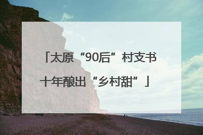 太原“90后”村支书十年酿出“乡村甜”