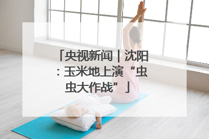 央视新闻｜沈阳：玉米地上演“虫虫大作战”