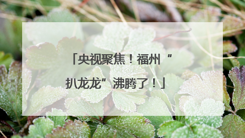 央视聚焦！福州“扒龙龙”沸腾了！