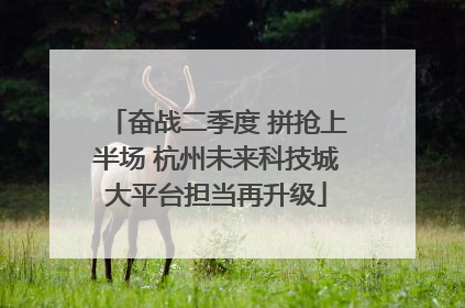奋战二季度 拼抢上半场 杭州未来科技城大平台担当再升级