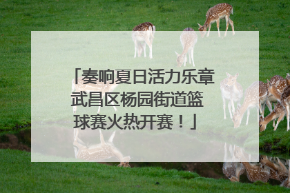 奏响夏日活力乐章 武昌区杨园街道篮球赛火热开赛！