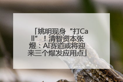 姚明现身“打Call”！清智资本张煜：AI赛道或将迎来三个爆发应用点