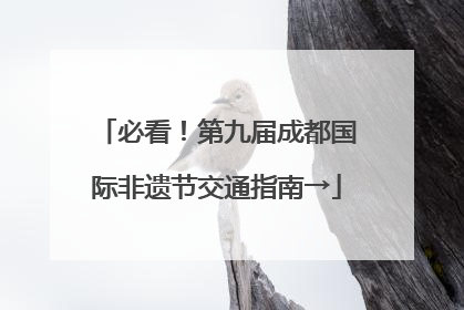 必看！第九届成都国际非遗节交通指南→