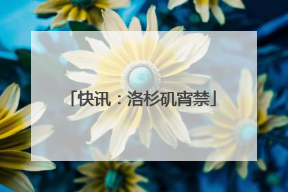 快讯：洛杉矶宵禁