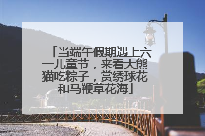 当端午假期遇上六一儿童节，来看大熊猫吃粽子，赏绣球花和马鞭草花海