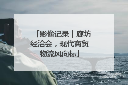 影像记录｜廊坊经洽会，现代商贸物流风向标